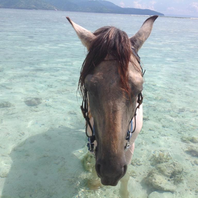 Gili T Sugar Shack Ξενοδοχείο Τζίλι Τραγουανγκάν Εξωτερικό φωτογραφία